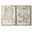 Sépia Besler Botanicals IX - ensemble de 2 reproductions d'art sur toile encadrées-1866311144-1866311151