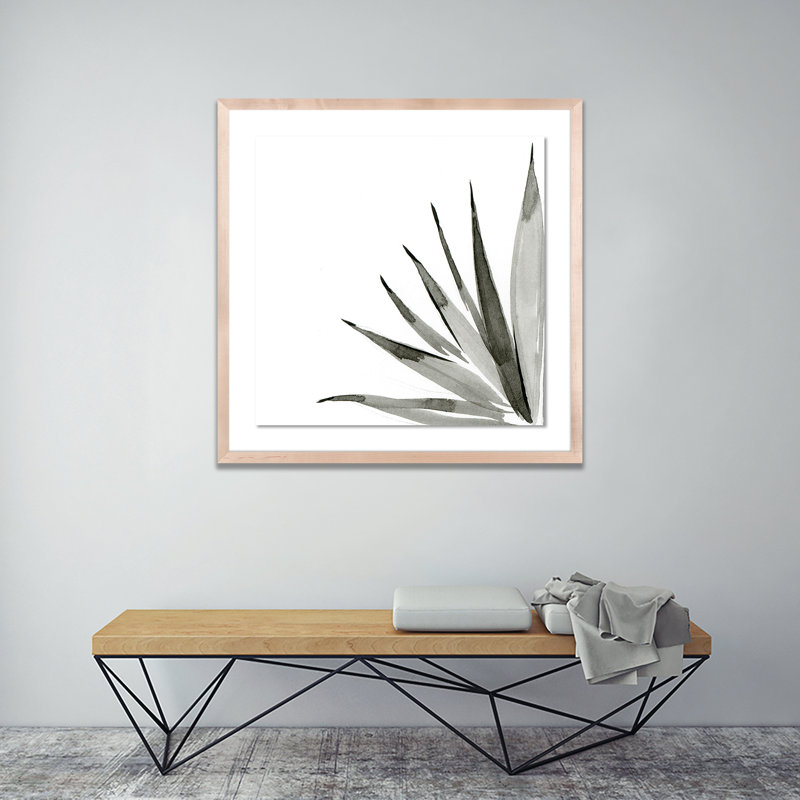 Agave I Print by Jess Engle, Natural, 24" H x 24" W x 1.5" D
