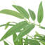 Faux Bamboo Tree Plant in Plastic Pot-1930024674