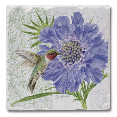 Stoneware Square 4 Piece Coaster Set