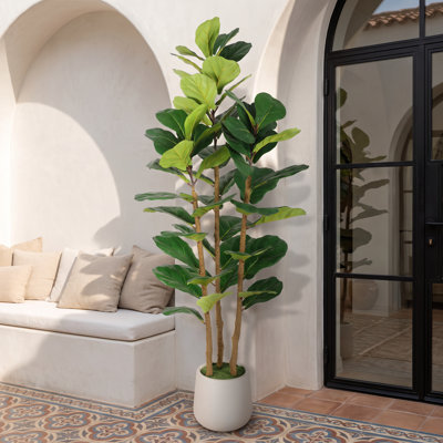 5ft Artificial Fiddle Leaf Fig Tree with Multi-Trunk Design, Faux Plant in Round White Planter for Home Office Decor