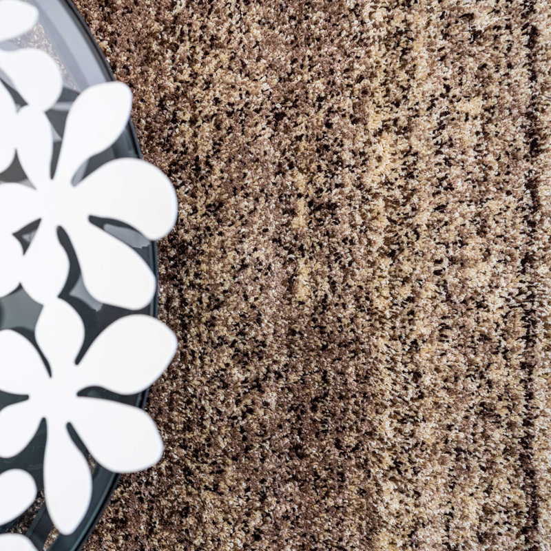 Digrazia Striped Shag Area Rug, Rectangle 160 x 230cm