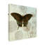 Art mural sur toile tendue - "Le Papillon - Motif 2" de Gail Fraser pour décoration de salon, de chambre à coucher ou de bureau - 24 x 24