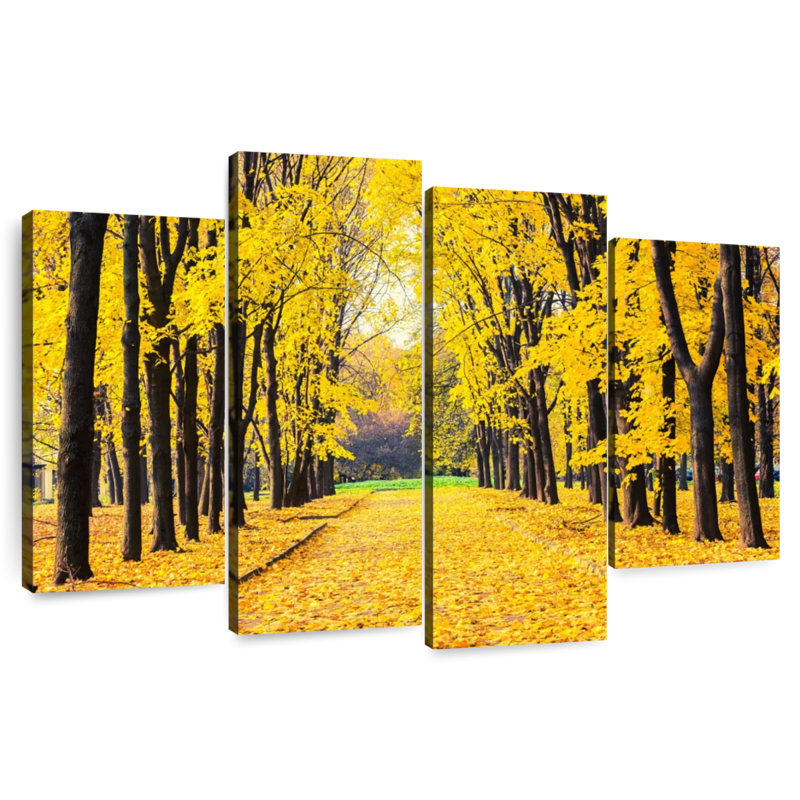 Sireci Autumn Park Foliage