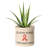 Middle Village Ceramic Pot Planter-29366203