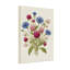 Bouquet de plantes et de fleurs avec des fleurs roses, bleues et blanches-360257683-360257685-360257686