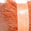 Velvet Lumbar Pillow w/ Feather Trim-663441243
