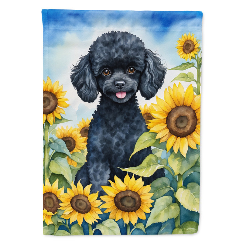 Drapeau de la maison du tournesol Malamute d'Alaska, Caniche noir