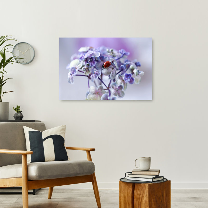 Ladybug On Purple Bloom Colorful Delicate Peaceful Ladybug Flower Nature Wall Art Print by Ellen van Deelen - 1 Piece Wrapped Canvas Wall Art