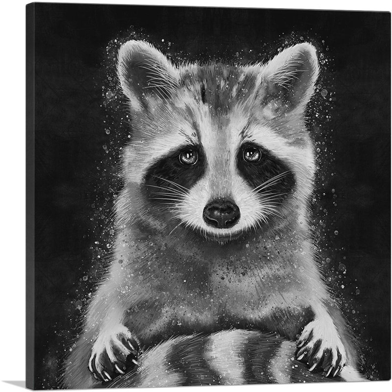 Raton laveur et raton laveur - reproduction d'art sur toile tendue, H 12 po x l 12 po x P 0,75 po