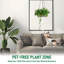 Paquet de 4 jardinières suspendues pour plante d'intérieur - Support à plante d'intérieur en métal robuste avec 3 chaînes et crochets