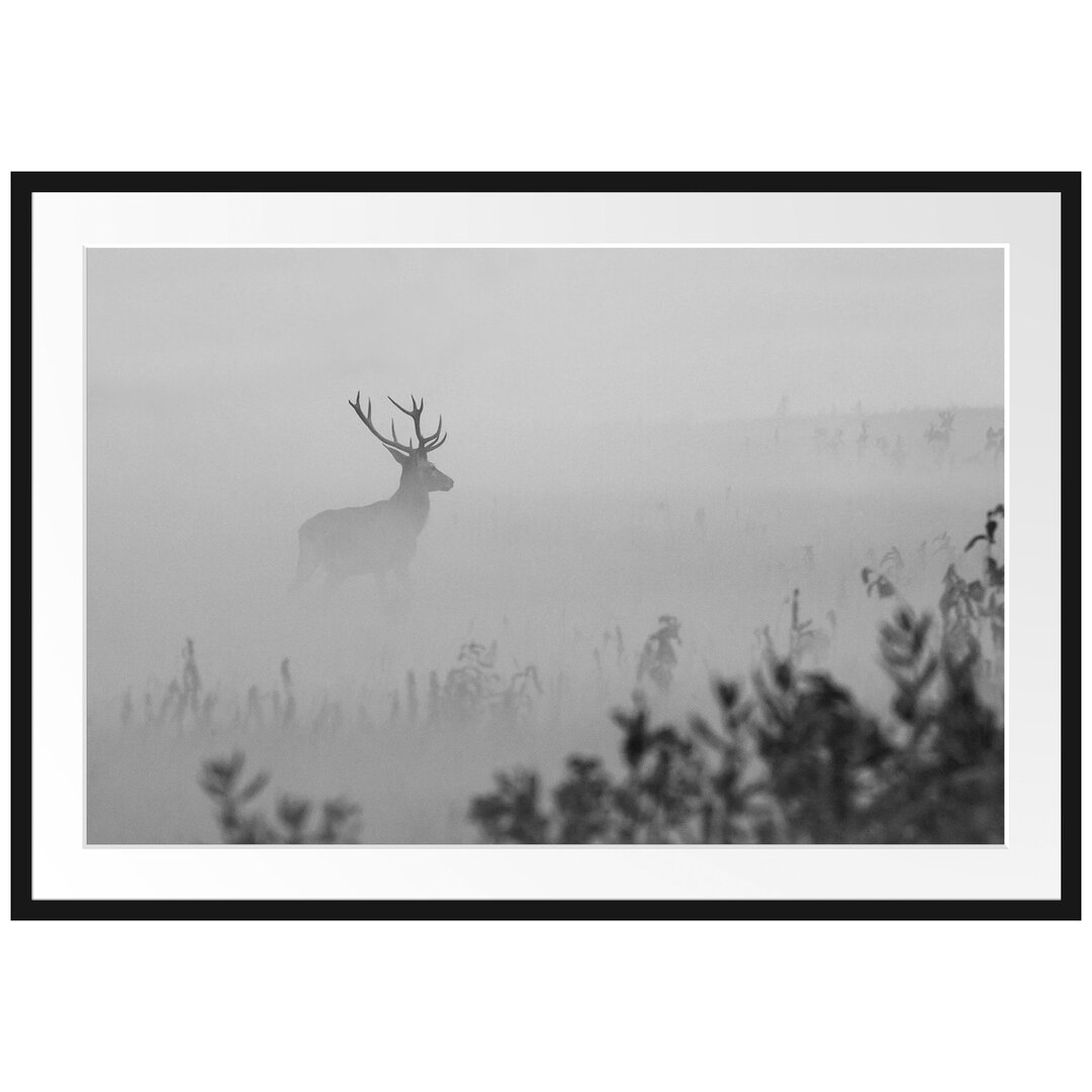 Gerahmter Fotodruck Deer in the Fog