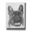 «French Bulldog 3» par Barbara Keith-522133086