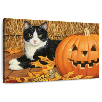 Citrouille d'Halloween et chaton