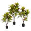Croton artificiel en pot-1249365833