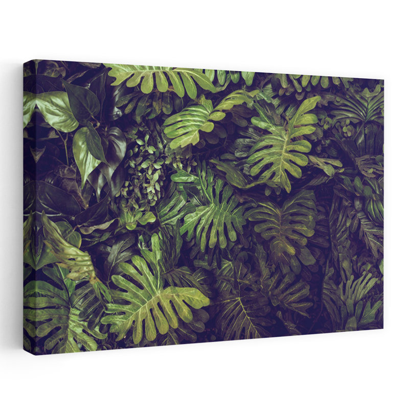 Tropical 4 - Photographie de fleurs et de natures mortes, art tropical, H 16 po x l 24 po