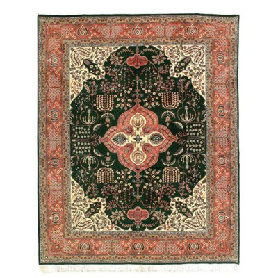 Oriental Area Rug in Green