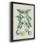 Buchoz Tropicals VII, reproduction d'art encadrée-88436162-88436164