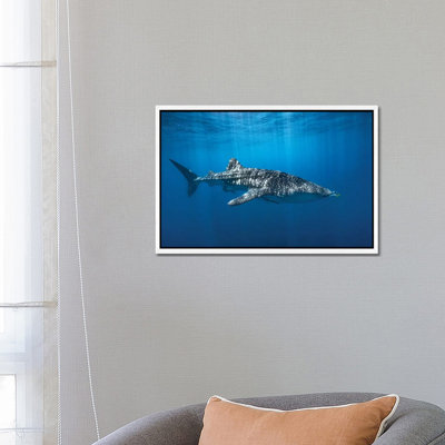 Whale Shark in the Blue 1 Piece Wall Art on Canvas