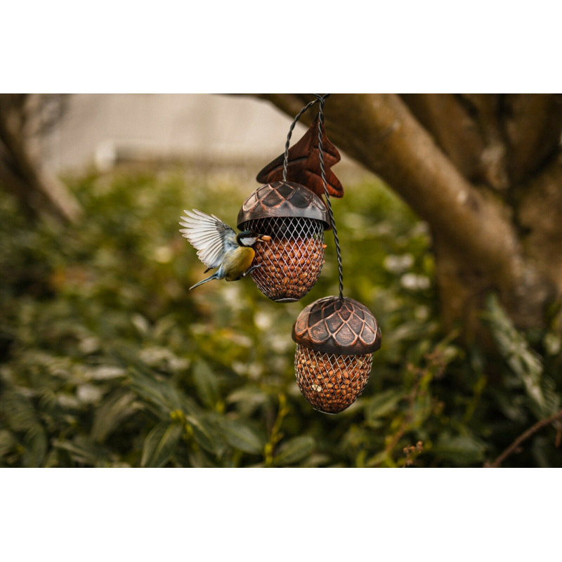 Jody Metal Hanging Decorative Bird Feeder