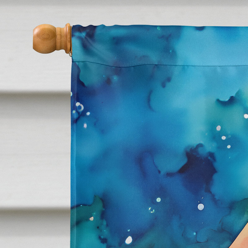 Drapeau de maison en polyester à double face H 40 po x l 28 po