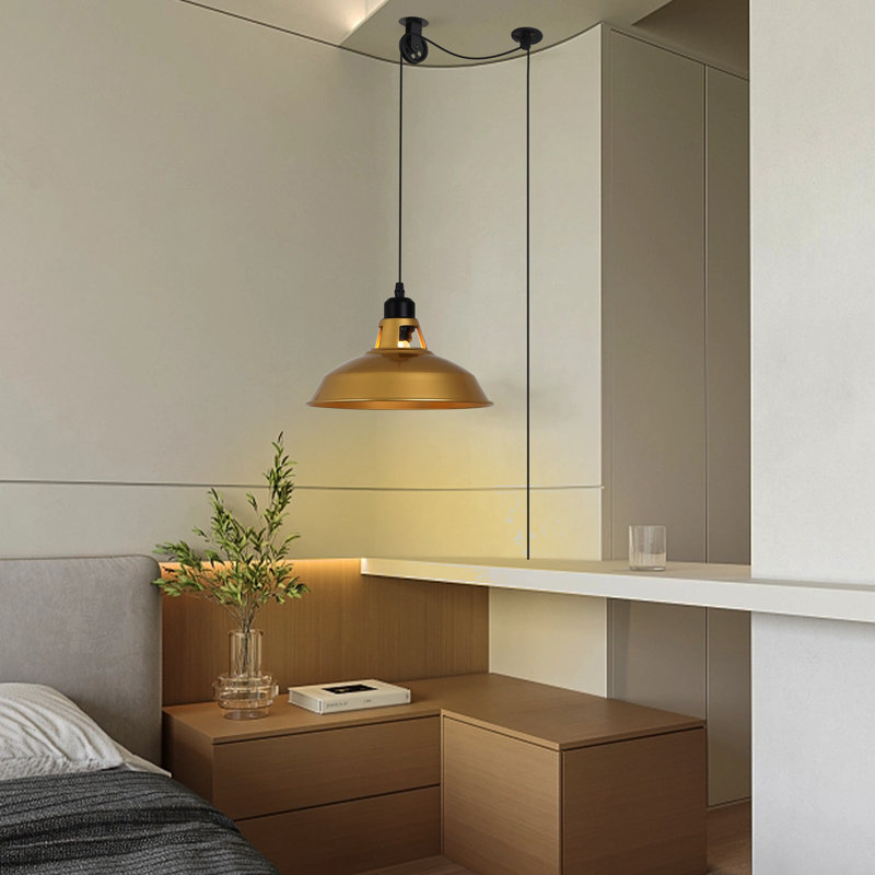 Luminaire suspendu industriel à hauteur de poulie et lampe suspendue à hauteur réglable avec interrupteur, doré