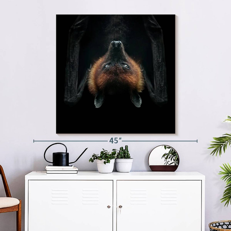 Crowle Upside Down Flying Fox Bat, 33" H x 33" W