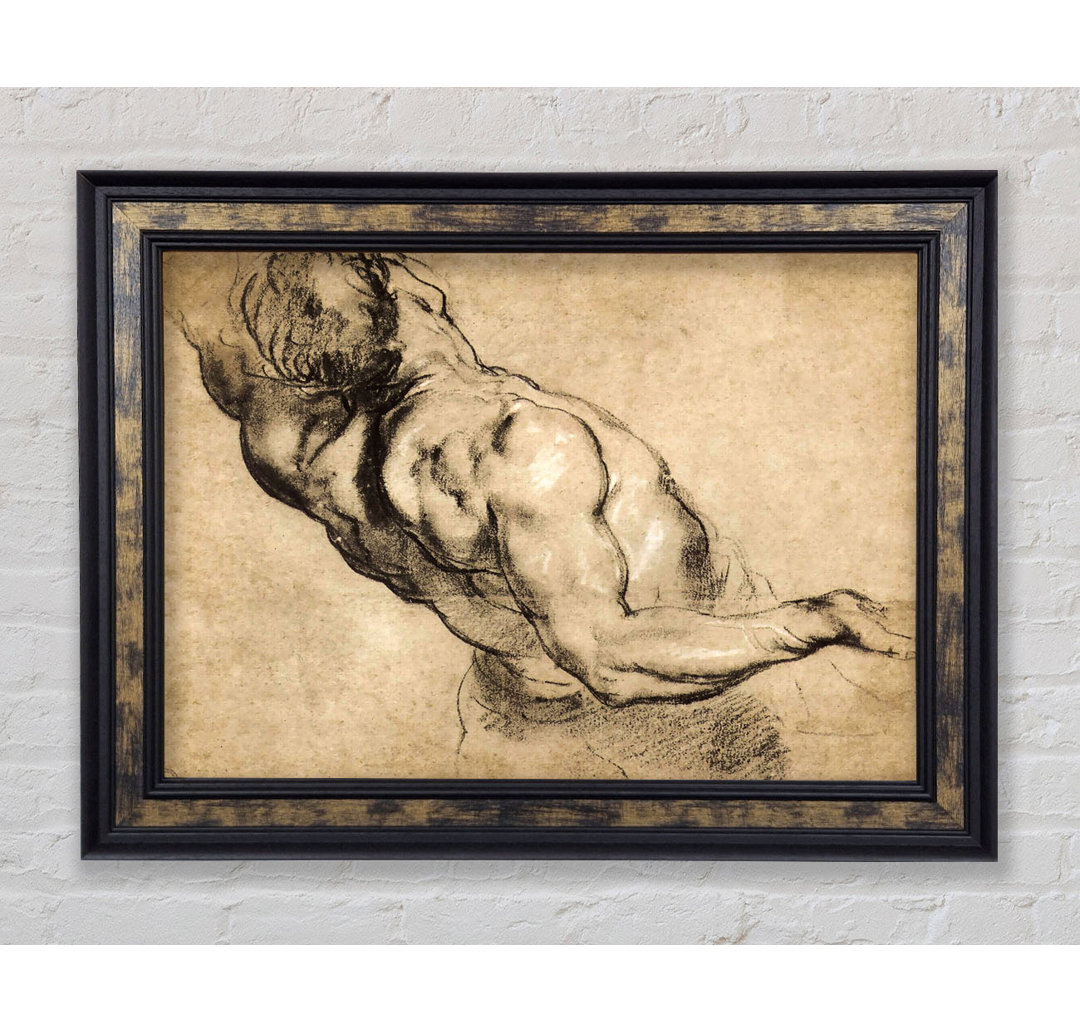 Rubens Study Of Mans Torso - Einzelner Bilderrahmen Kunstdrucke