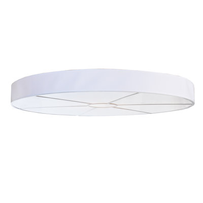 12 - Light Flush Mount