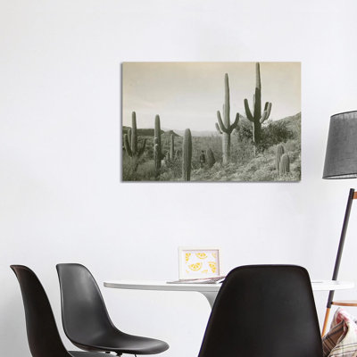 Canon Des Coches, Tortolita Mountains, USA 1 Piece Wrapped Canvas Wall Art