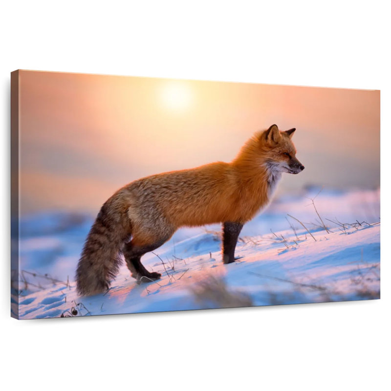 Brampt Sunny Red Fox, 26" H x 39" W