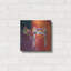 «Chai Of Colors»-747964406