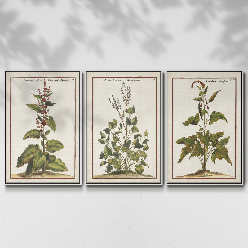 " Munting Botanicals IV " 3 - Pieces, 27" H x 54" W, White