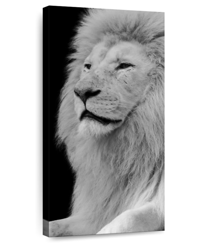 Lion Head Profile
