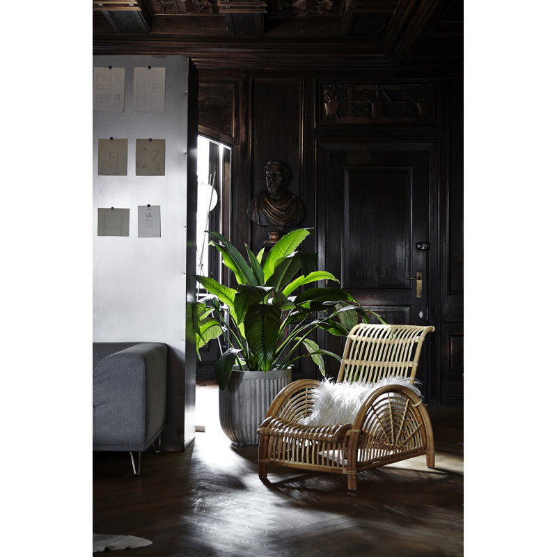 Chaise en rotin Arne Jacobsen Paris - Naturel