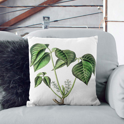 Square Throw Cushion