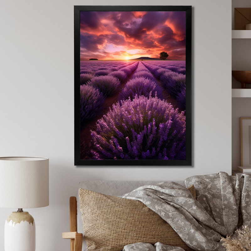 Lavande enchanteresse - impression, Cadre photo noir, H 20 po x l 12 po x P 1 po