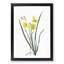 Yellow Daylily by Pierre-Joseph Redoute - Picture Frame Painting Print-55614023-55614027