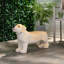 Banc d'extérieur MGO DOG Bench, aucun assemblage requis-1263459871
