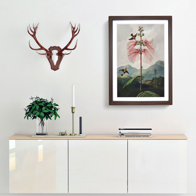 Flowering Plant and Birds by R.J. Thornton - Picture Frame Graphic Art Print, Walnut Framed, 48cm H x 36cm W x 2cm D