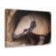 «Coming Out Armadillo Portrait of Hairy Armadillo», art mural-887446919