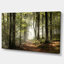«Green Fall Forest with Sun Rays - Forest», reproduction de photo