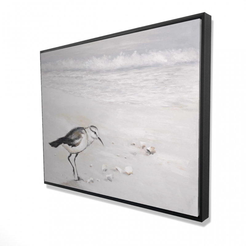 Semipalmated Sandpiper Print On Canvas