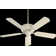 Souza 52'' Ceiling Fan