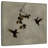 Brampt Dance In Flight II-109227253