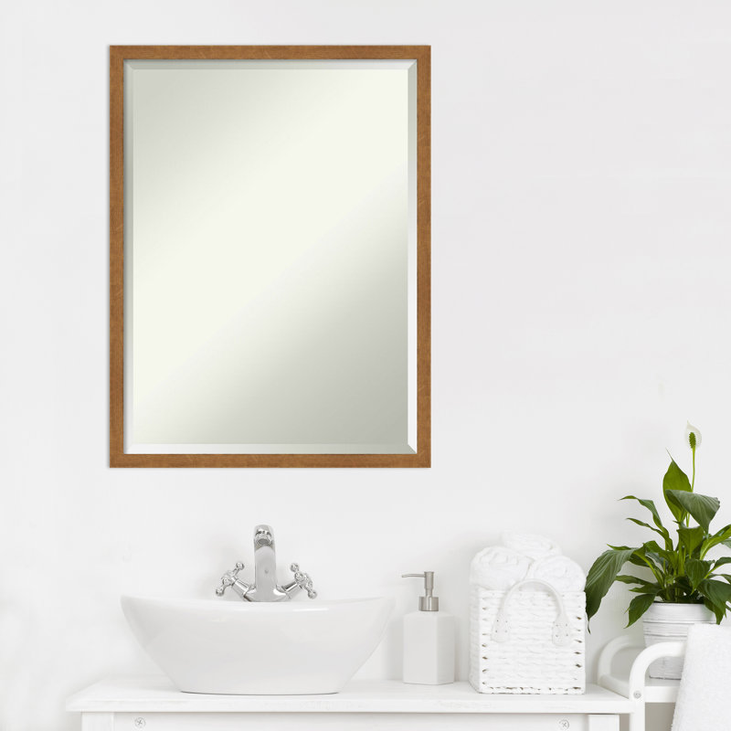 Miroir de salle de bain Speights, 25 po x 19 po, Naturel