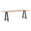 Sarbash Table Leg-452424201-452424311