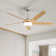 Mitali 52" 5-ABS-Blade Modern Propeller Ceiling Fan With Light and Remote Control