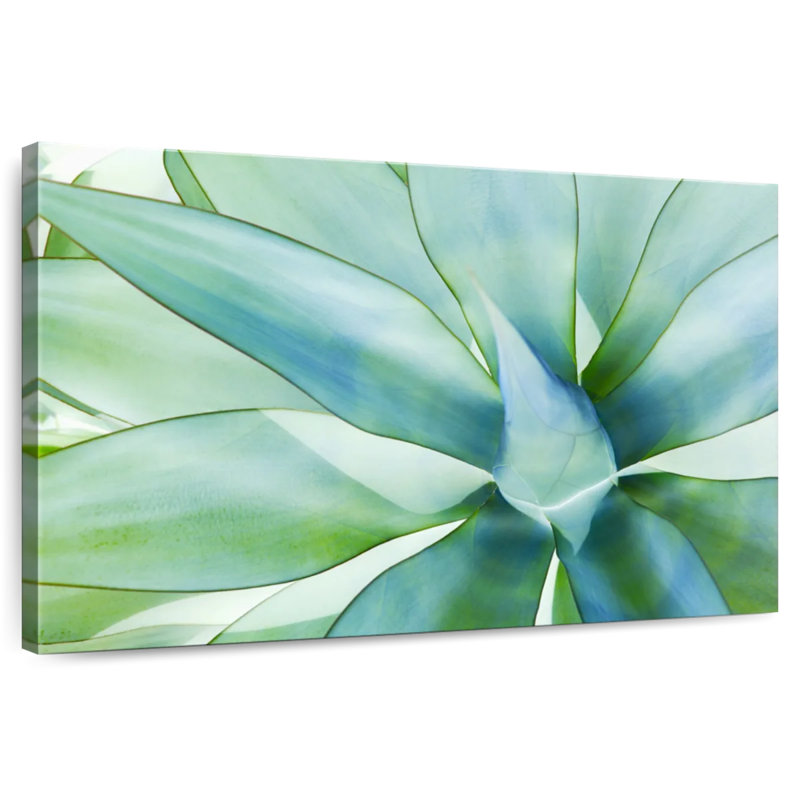 Harnek, feuilles d'agave, H 24 po x l 36 po
