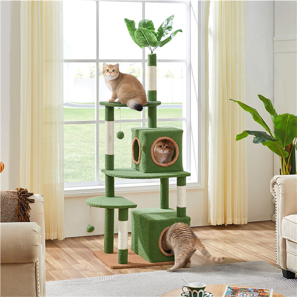 Eleigha 59'' H Cat Tree